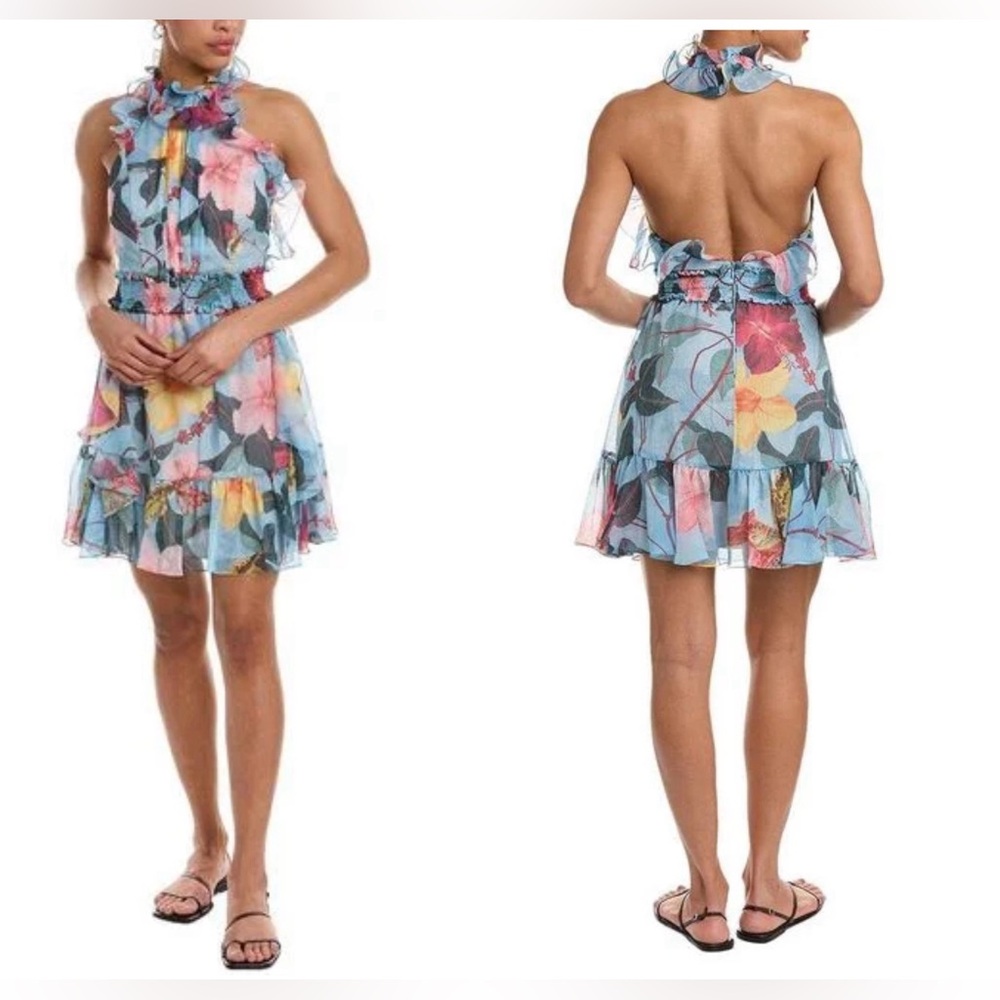 PatBo Floral Ruffle Halter Mini Dress - Blue Floral